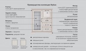 Прихожая модульная Стилиус в Новой Ляле - novaya-lyalya.magazinmebel.ru | фото - изображение 2